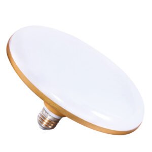 Ultra-Bright High-Power LED Bulbs