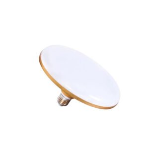 Ultra-Bright High-Power LED Bulbs