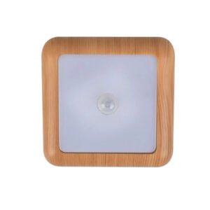 XD-037 Smart Induction Lamp