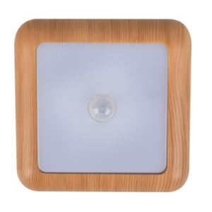 XD-037 Smart Induction Lamp