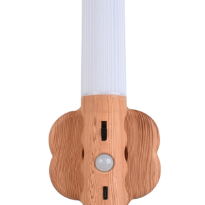 XD-034 Smart White Light Induction Lamp