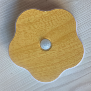 XD-035 Smart Warm Light Induction Lamp