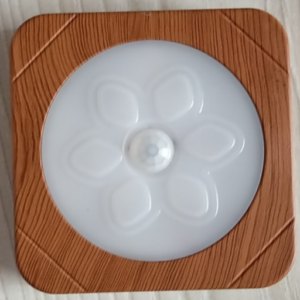 XD-031 Mini Round Luminaire